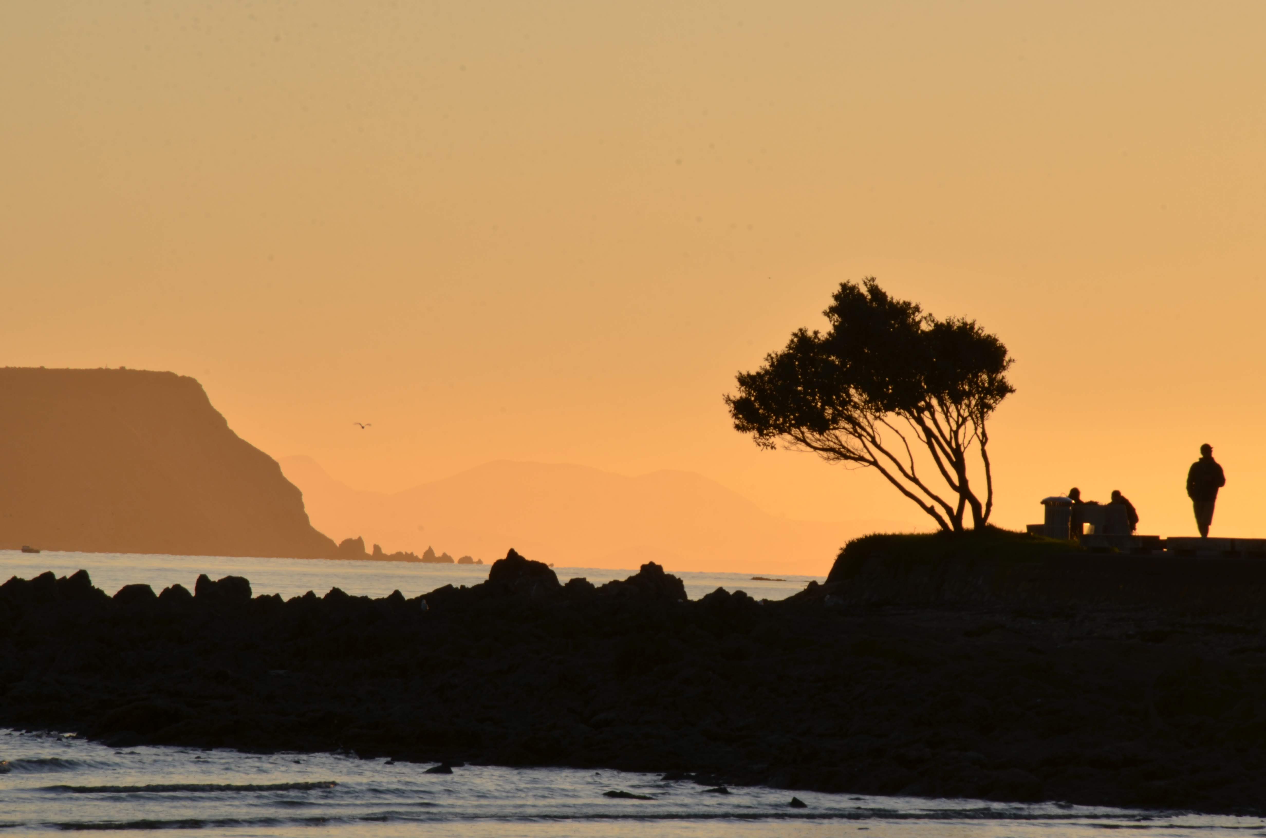 The coastline on a sunset. The silhouette of several persons, trees, and islands.