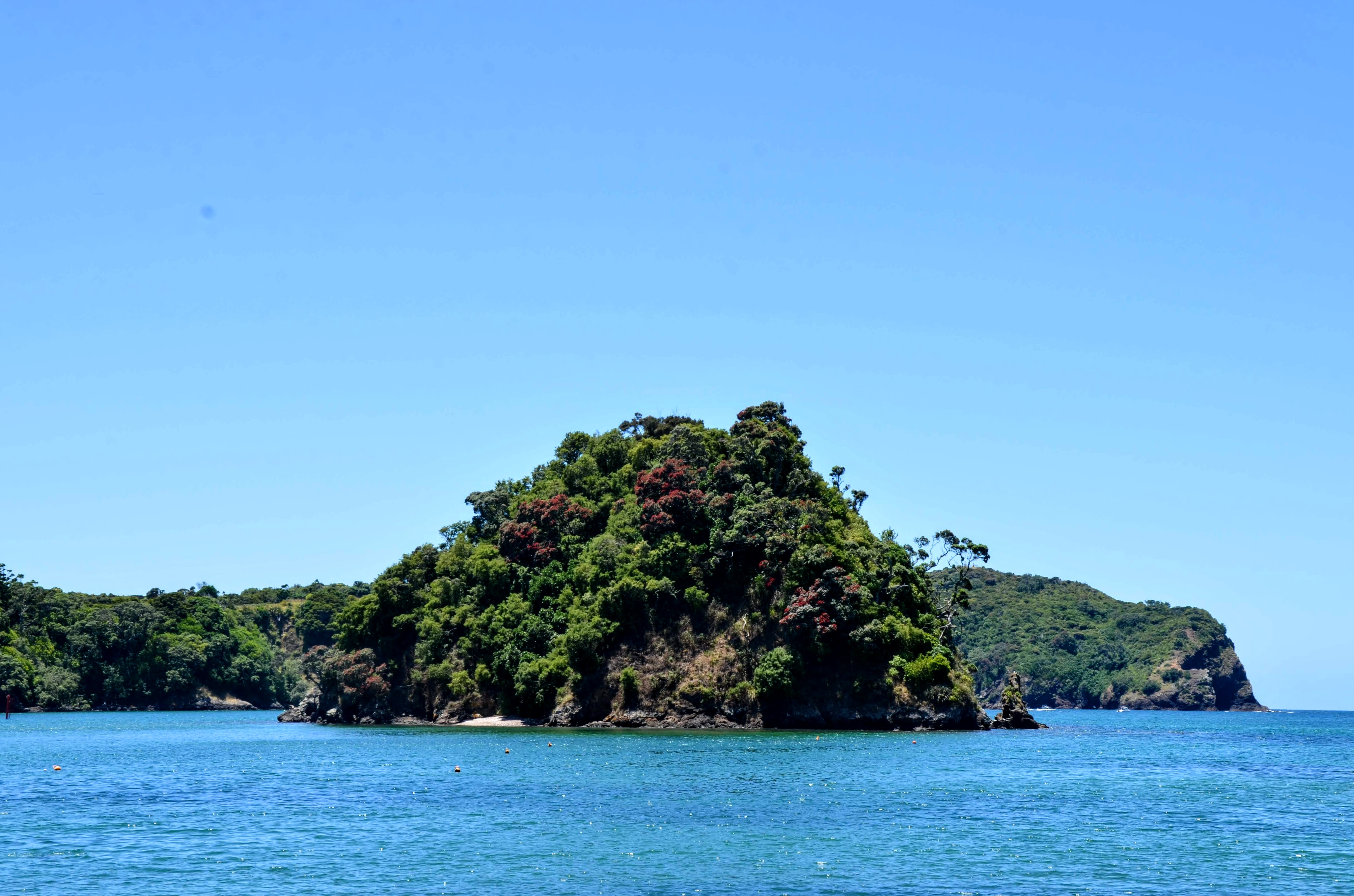 An islands offshore the coast of New Zealand