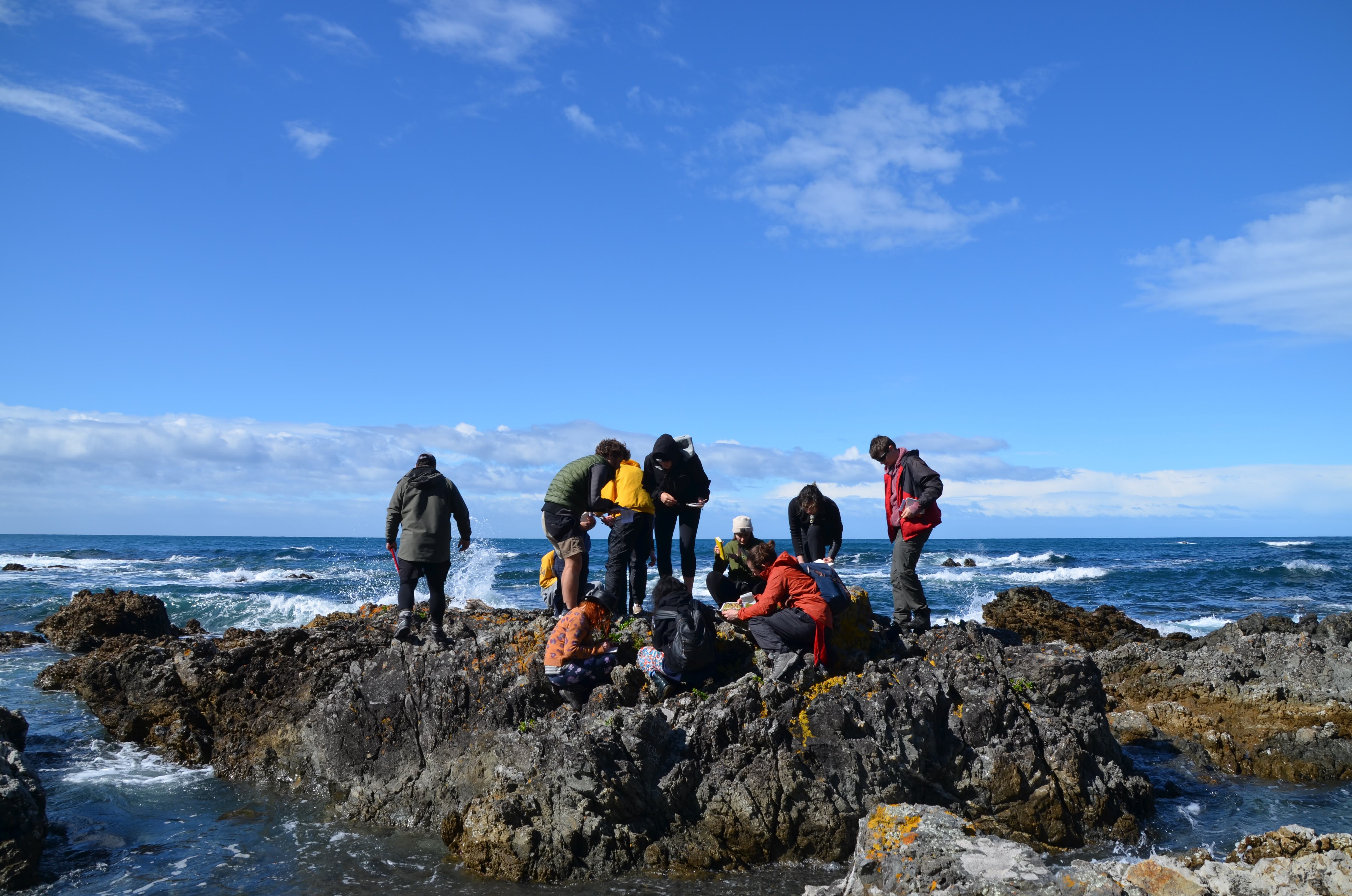 A group of students identifying plants on a rocky outcrop along Wellington’s South Coast, Aotearoa New Zealand