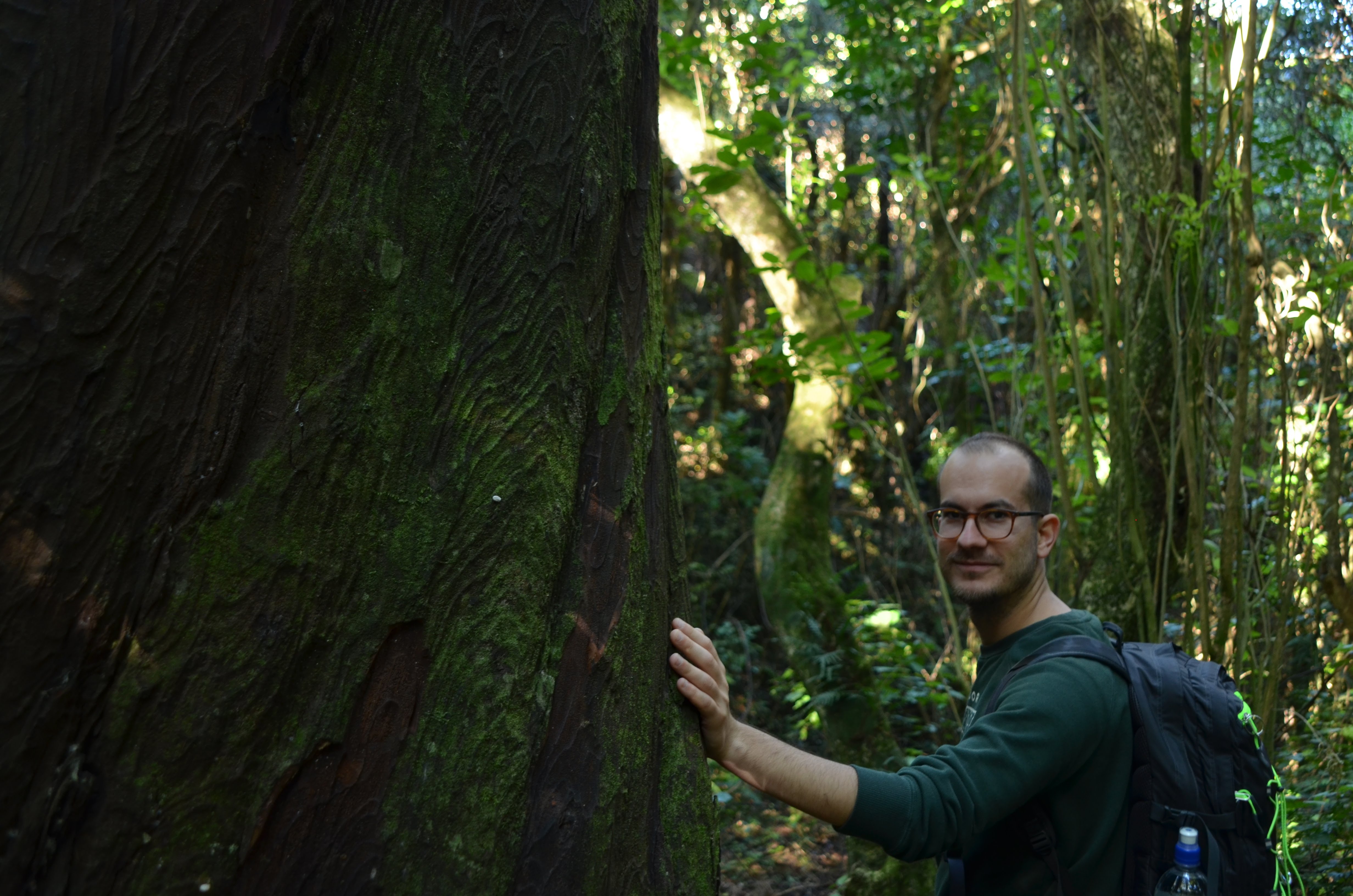 Fabio near a Rimu tree in Otari-Wilton Bush